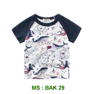 Combo 3 áo phông chất đẹp, màu sặc sỡ