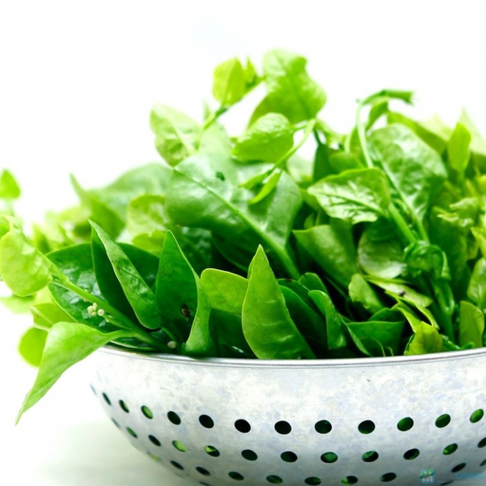 HẠT GIỐNG MỒNG TƠI(CHẤT LƯỢNG-UY TÍN)
