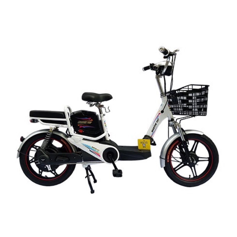 XE ĐẠP ĐIỆN MARTIN 107