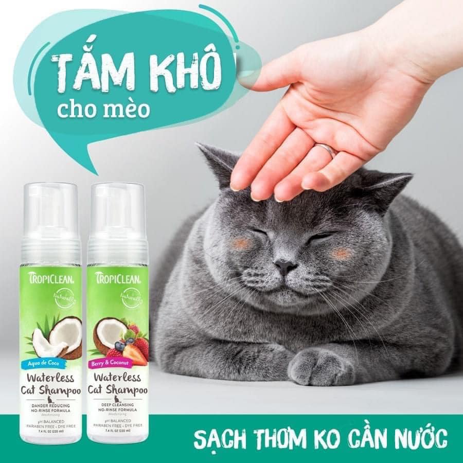 Bọt tắm khô Tropiclean cho chó mèogiúp làm sạch và khử mùi hôi 220ml - xuất xứ Mỹ