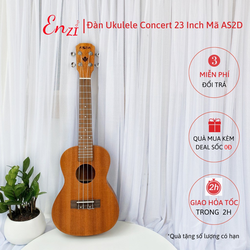 Đàn ukulele concert AS2D Enzi 23 inch gỗ mộc trơn khóa đúc giá rẻ cho bạn mới bắt đầu tập chơi