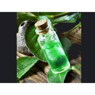 Nước cây phỉ (witch hazel) - 100ml