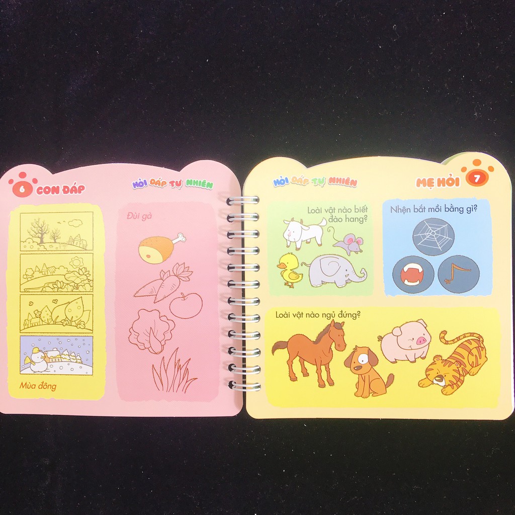 Sách - Mẹ Hỏi Con Đáp – Phát Triển Toàn Diện 4 cuốn (ĐA)