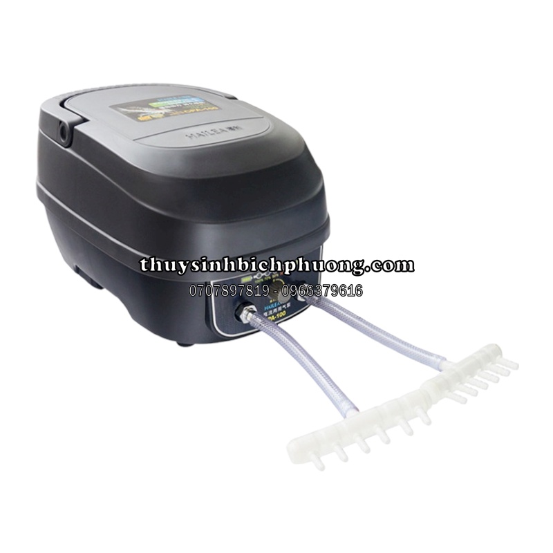 MÁY SỦI OXY TÍCH ĐIỆN CP60 CPA60 CPA80 CPA100 CPA120 HAILEA - HÒA TAN OXI HỒ CÁ KOI THỦY HẢI SẢN