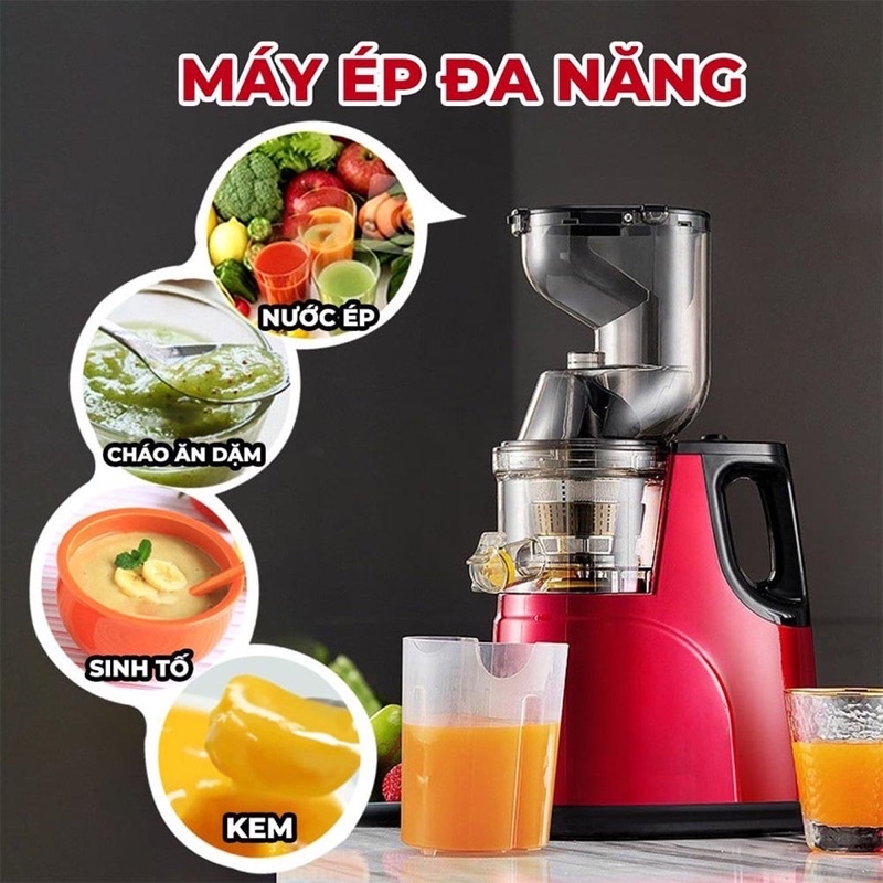 Máy ép chậm , ép trái cây Hongxin RH313 mẫu mới