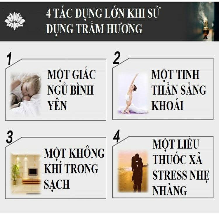 HỘP 50 NỤ TRẦM HƯƠNG