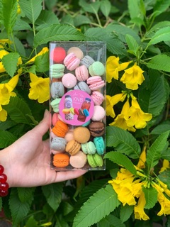Macaron mini 3k/ viên