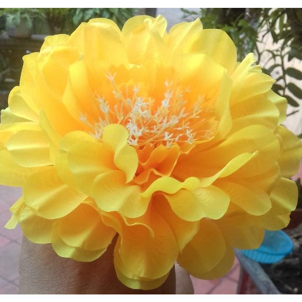 Sỉ 1 đôi hóa múa cho bé, hoa cẩm tú cầu vàng kt 16cm, đã có chun cài