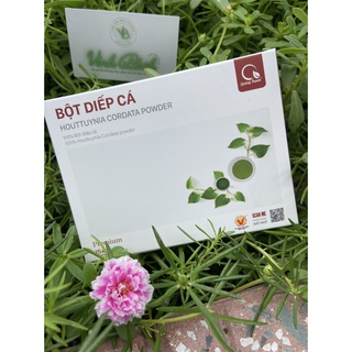 Bột diếp cá sấy lạnh quảng thanh - nguyên chất