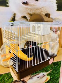 Lồng Hamster size trung