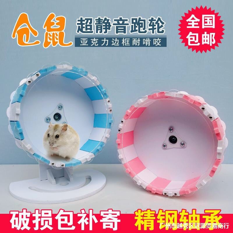 Wheel gỗ Zoog size 21cm. Bánh xe tập thể dục cho Hamster