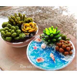 Set 10 khuôn cầu - Hộp cầu rau câu, bánh lạnh - Hộp cầu nắp PET