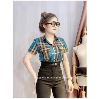 [rẻ vô địch] ÁO SƠ MI CỘC TAY KẺ NỮ HOT TREND
