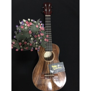 Đàn ukulele dc800