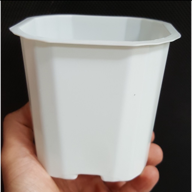 Chậu nhựa để bàn