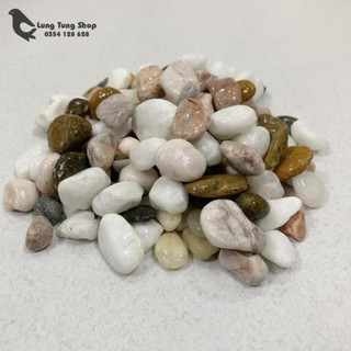 Đá sỏi hỗn hợp ( chọn size )