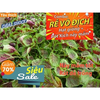 [Combo rẻ vô địch HẠT GIỐNG + GÓI HỖ TRỢ  NẢY MẦM] - 300 hạt - HẠT GIỐNG RAU DỀN