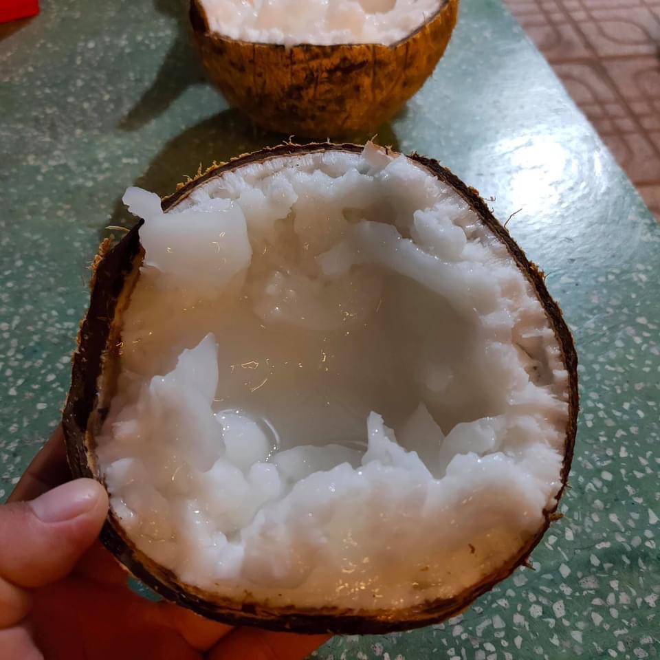 Dừa sáp trà vinh loại 1 quả 1kg
