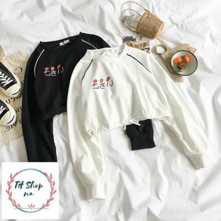 Áo croptop tay dài