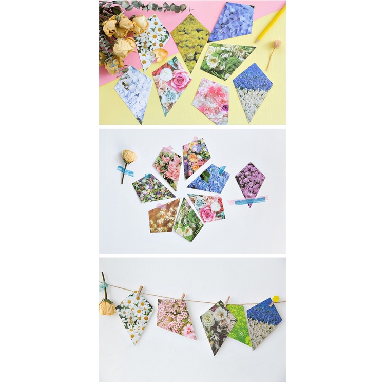 Hộp 30 tấm bưu thiếp, postcard hoa các mẫu