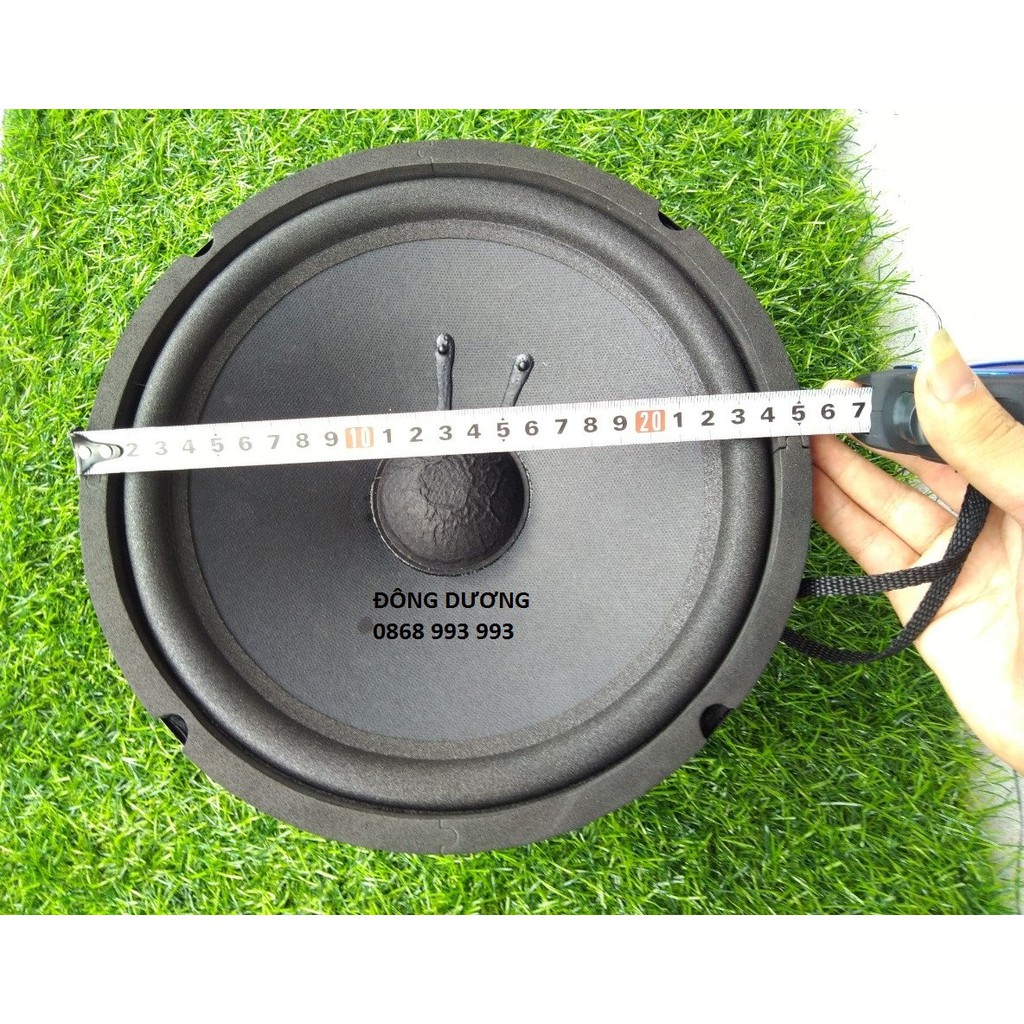CẶP LOA BASS 25 FULL TỪ KÉP 113 - 100 GIÁ RẺ