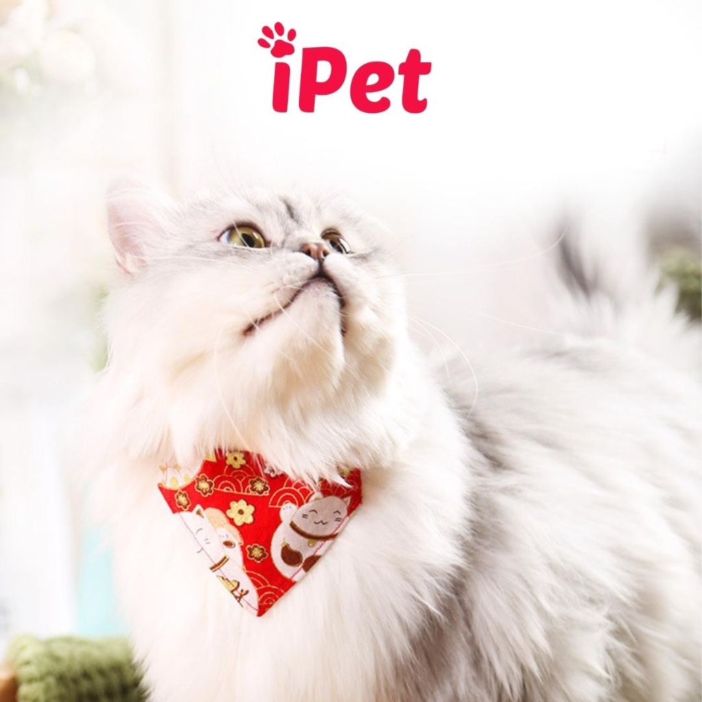 Vòng cổ chó mèo, Yếm quàng cổ hình tam giác dễ thương cho thú cưng - iPet Shop