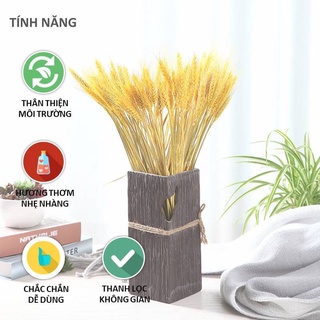 Bó 100 Bông Lúa Mạch phong thủy - Siêu đẹp