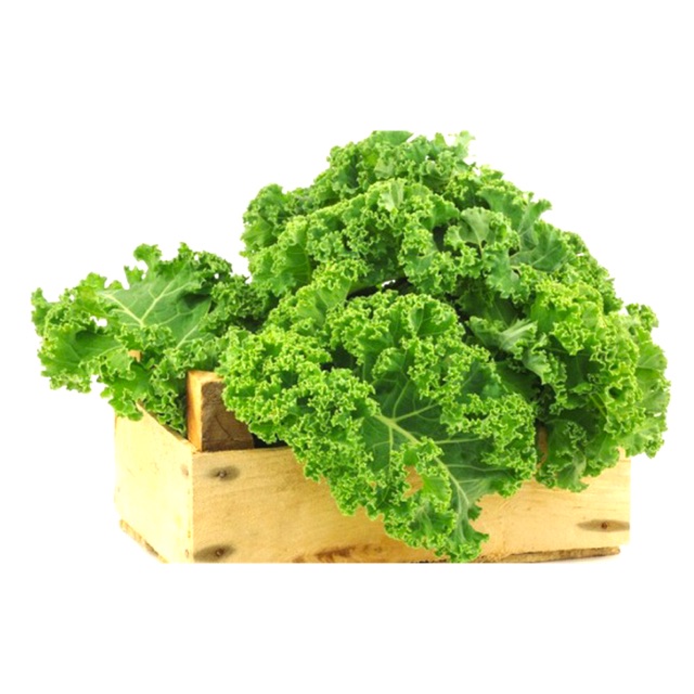 Hạt giống cải Kale, cải xoắn màu xanh, cải lá xoăn gói 2gr