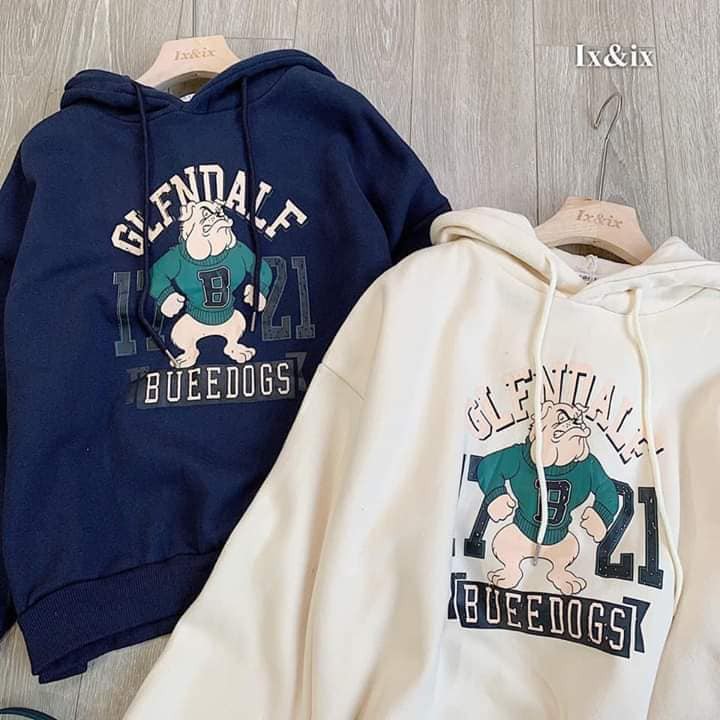 bán buôn áo nỉ chó | BigBuy360 - bigbuy360.vn