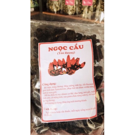 1kg Nấm ngọc cẩu tươi - HÀNG ĐẢM BẢO CHẤT LƯỢNG 100% - DƯỢC LIỆU HÀ HOÀNG