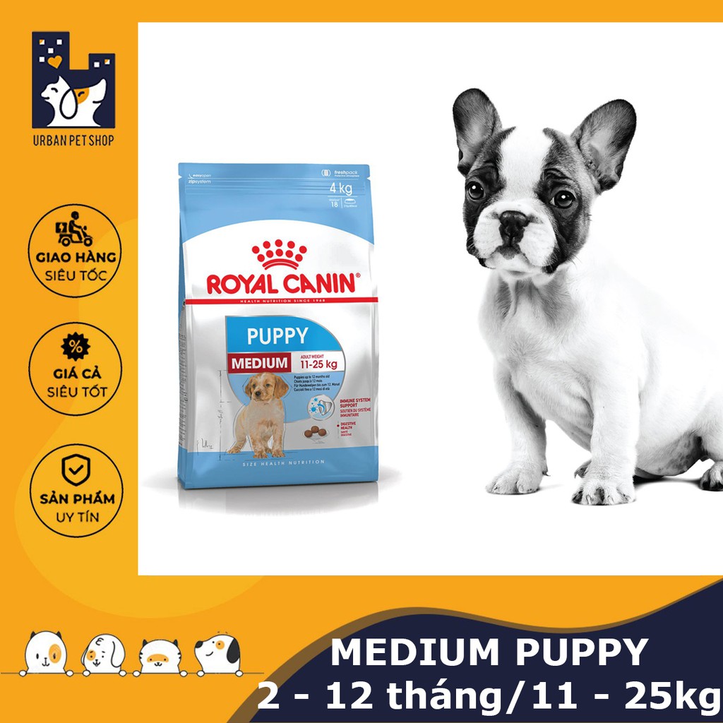 ROYAL CANIN - MEDIUM PUPPY [ CHÍNH HÃNG ] - THỨC ĂN HẠT CHO CHÓ TỪ 11-25KG