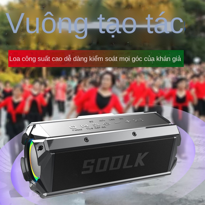 Công suất cao 100W loa siêu trầm âm thanh bluetooth của Đức loa siêu trầm chất lượng cao âm thanh ngoài trời âm thanh si