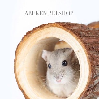 Ống chui gỗ thông cho Hamster