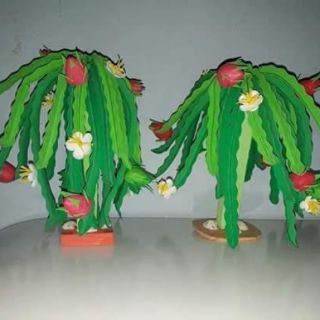 Cay an qua