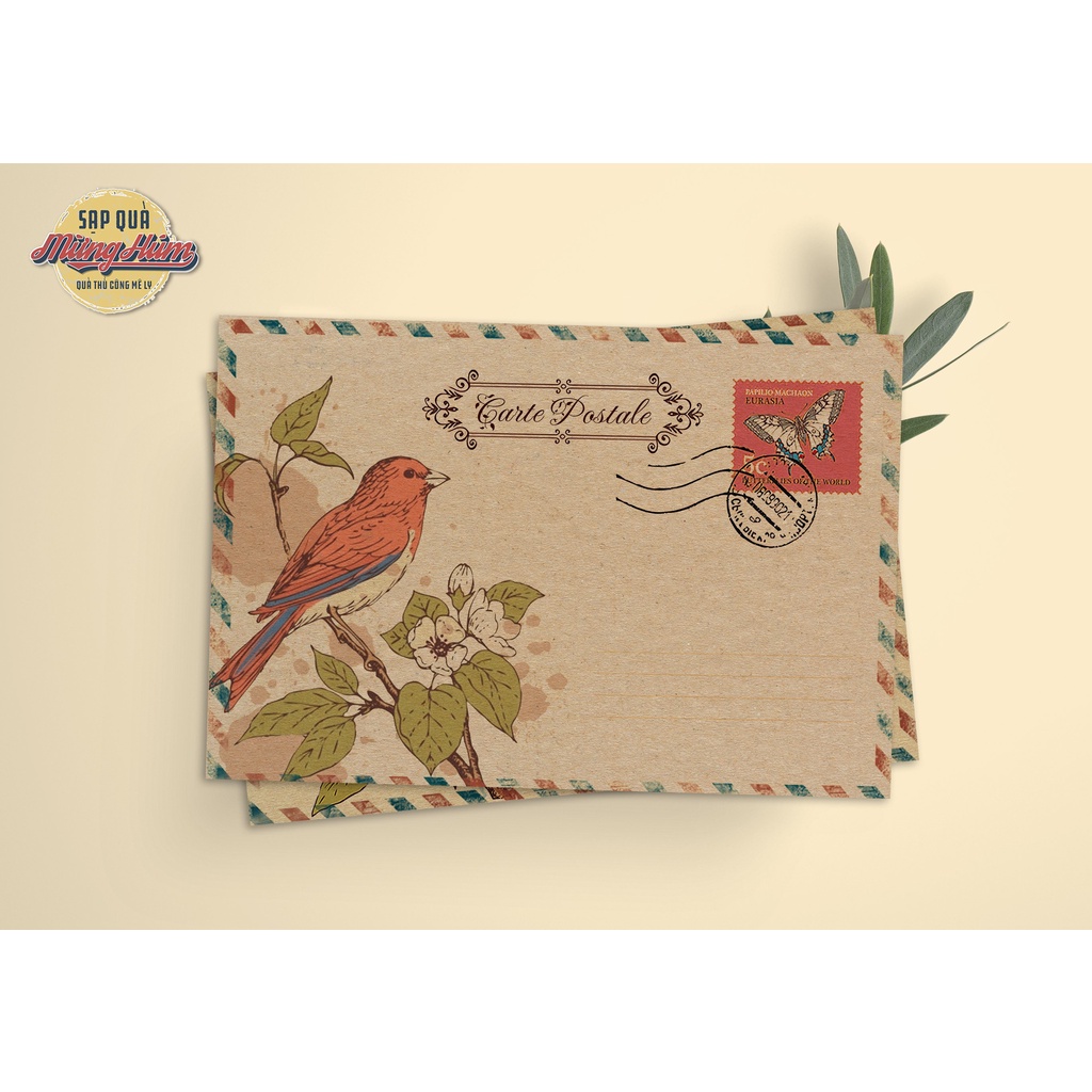 Bao thư đựng thiệp, danh thiếp, giấy tài liệu,... Shop bán lẻ 1 bao