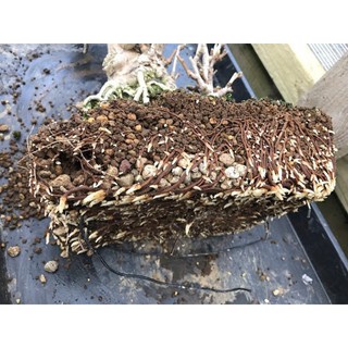 Đất Trồng Akadama Soil Mix Nhật Bản 3-5mm Trồng Bonsai Mini, Sen Đá, Xương Rồng Gói 1kg