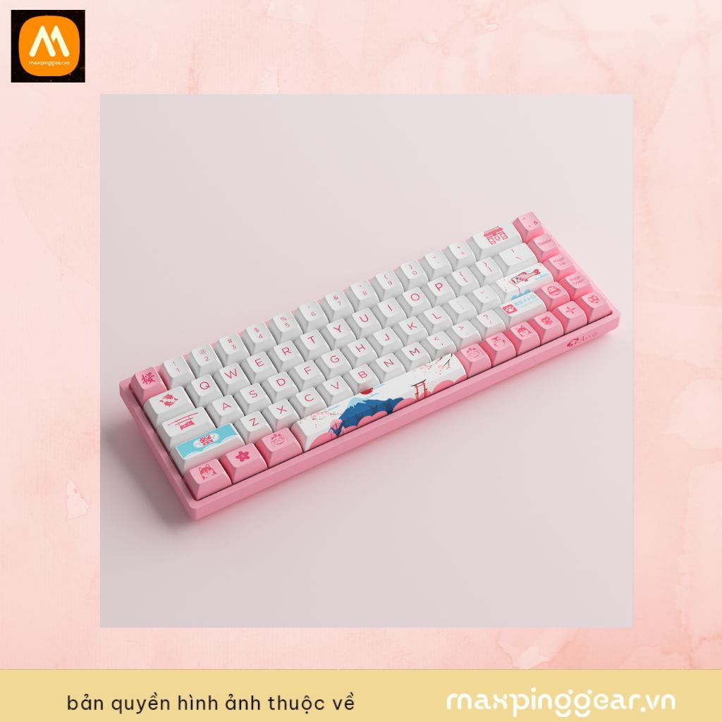 Bàn phím cơ AKKO 3068B Plus World Tour Tokyo R2