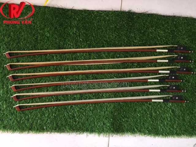 Acse vĩ cầm đàn violin