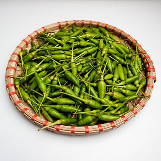 Hạt giống Ớt Xiêm (0.1g)