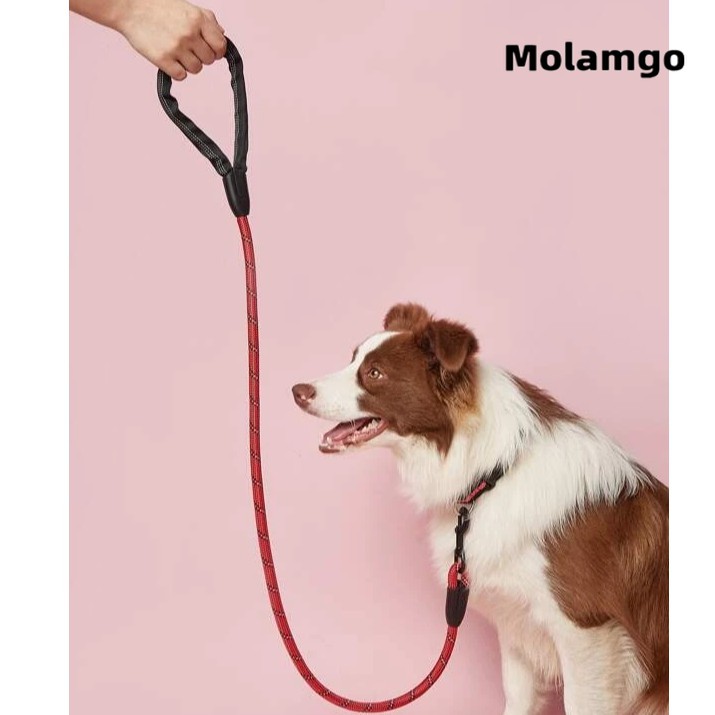 Dây Xích Thú Cưng Dây Ràng Thú Cưng đi Dạo Tích Hợp Tay Cầm Phản Quang Kích Thước 1.5m