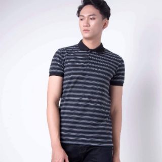 Áo thun cộc tay nam