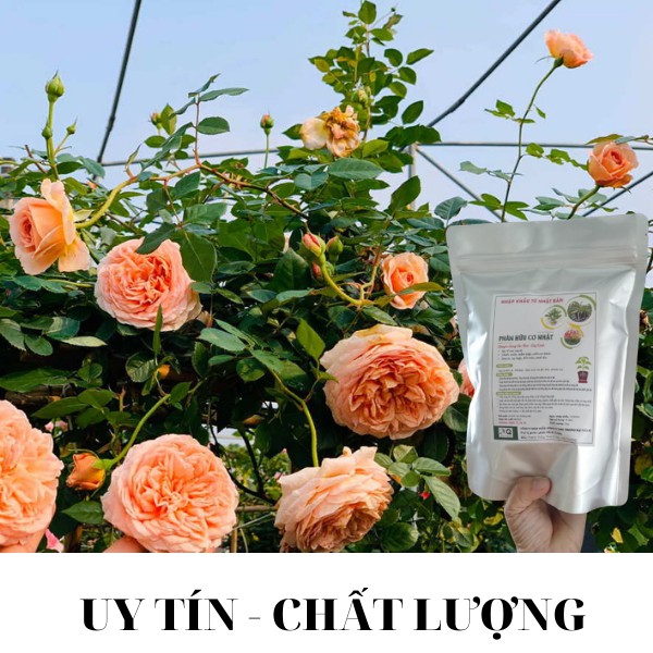 [Freeship] Phân bón hữu cơ nhập khẩu từ Nhật Bản -Sản phẩm Organic - Dùng cho hoa, cây cảnh, cây ăn quả và rau mầu