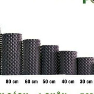 bầu ươm V6 1 cuộn 60cm dài 50m dày 0.7mm