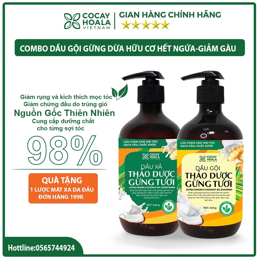 Dầu gội thảo dược gừng dừa dành cho mẹ bầu - Combo Dầu Gội Gừng dừa hữu cơ giảm nấm ngứa, chống, ngăn rụng tóc-500ml | BigBuy360 - bigbuy360.vn