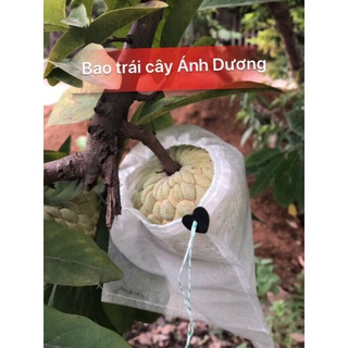 Túi bọc ổi, túi bọc na, túi bọc cam, túi bọc xoài kt: 18x19cm