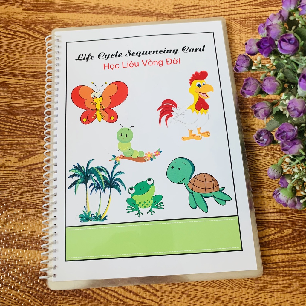 Học liệu Vòng đời ~ Đồ chơi giáo dục Montessori