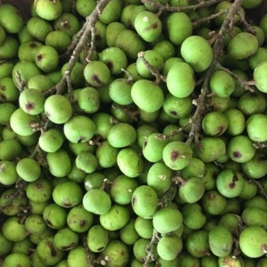1kg Quả sung khô thái lát thơm ngon a0