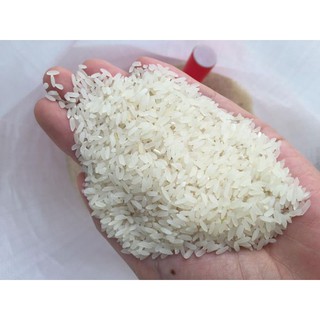 Gạo tám thơm điện biên -10kg
