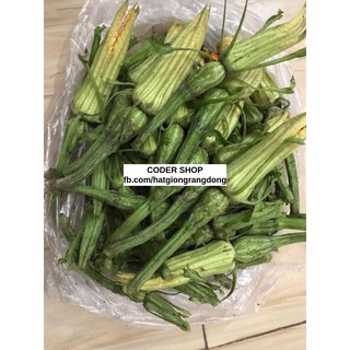 Hạt Giống Bí Nụ Rạng Đông 0.5Gram