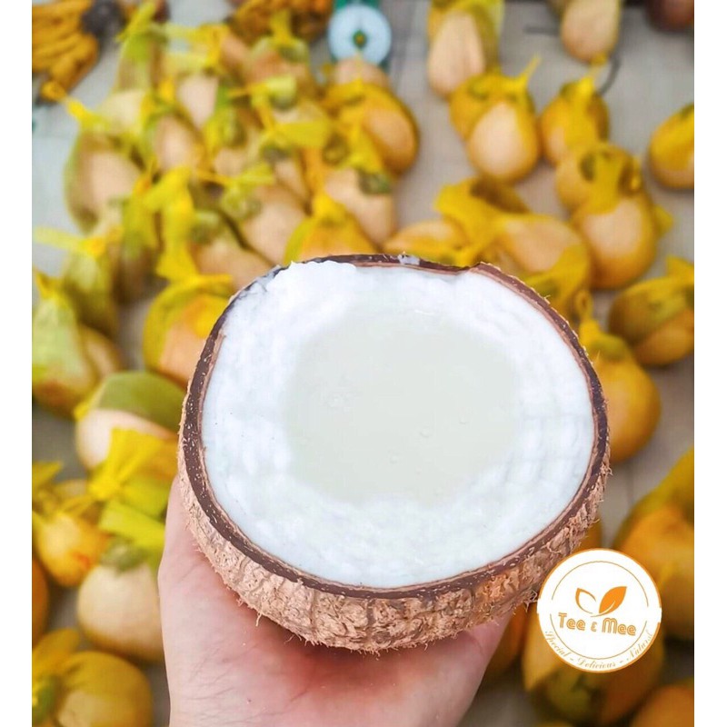 [Mã 267FMCGSALE giảm 8% đơn 500K] Dừa Sáp Đặc Biệt - Size Nhỏ Dùng Thử - Cơm Siêu Dày - Tee & Mee | BigBuy360 - bigbuy360.vn